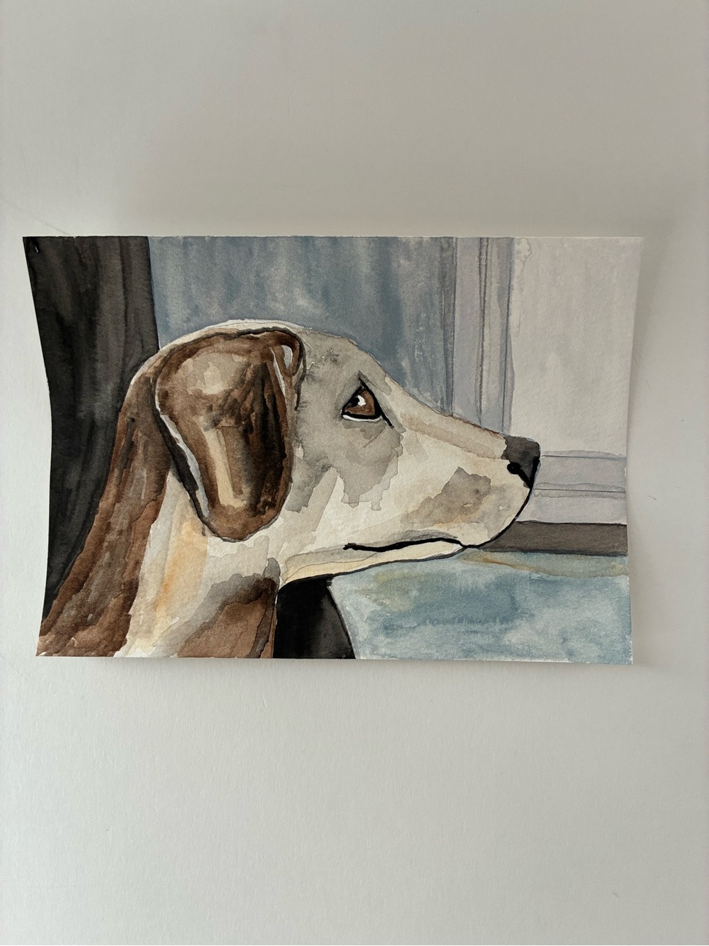 Watercolor Dog Portrait Painting Brown & Cream Hound Profile Original Painting